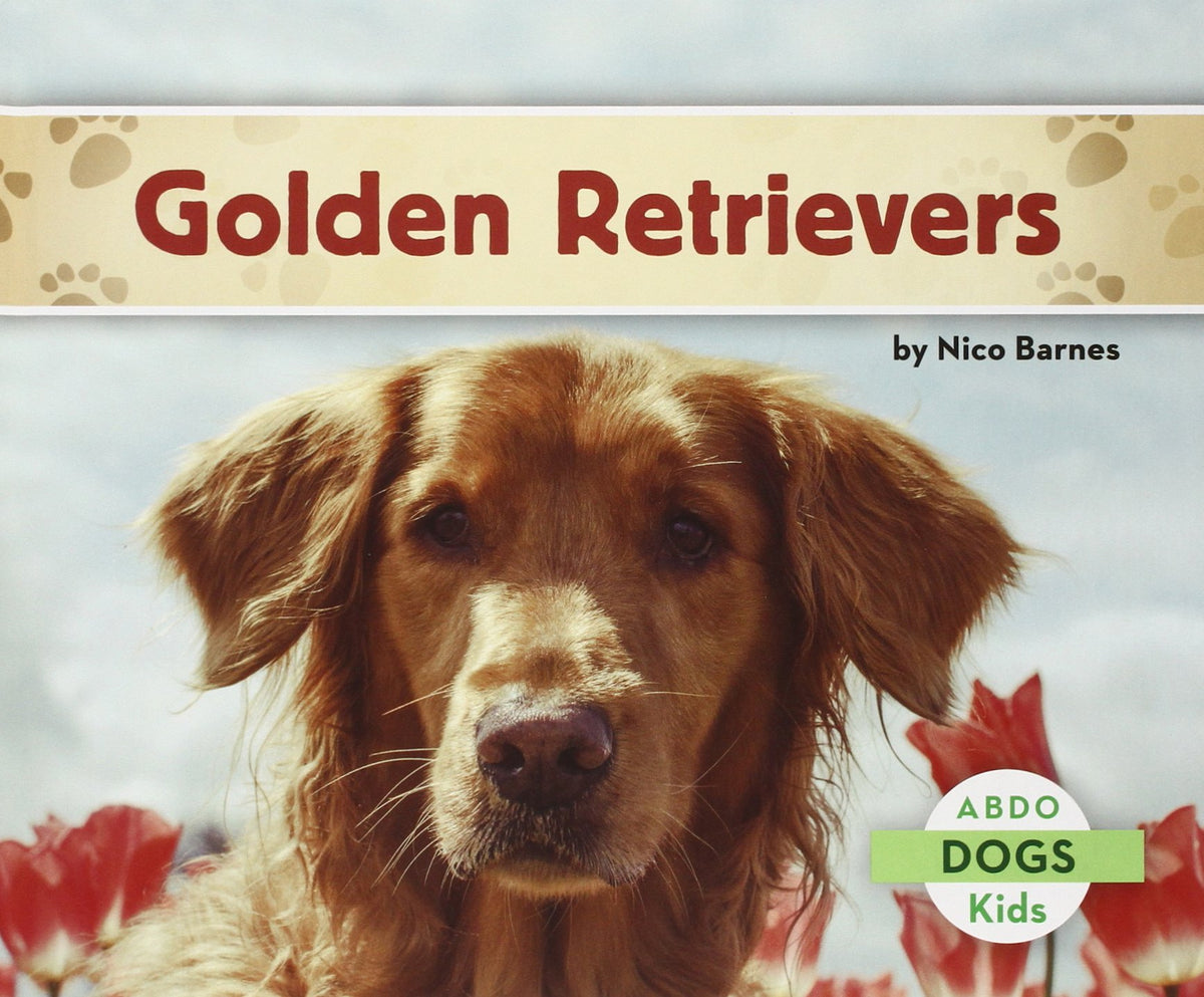 Golden Retrievers (Dogs Set 1)