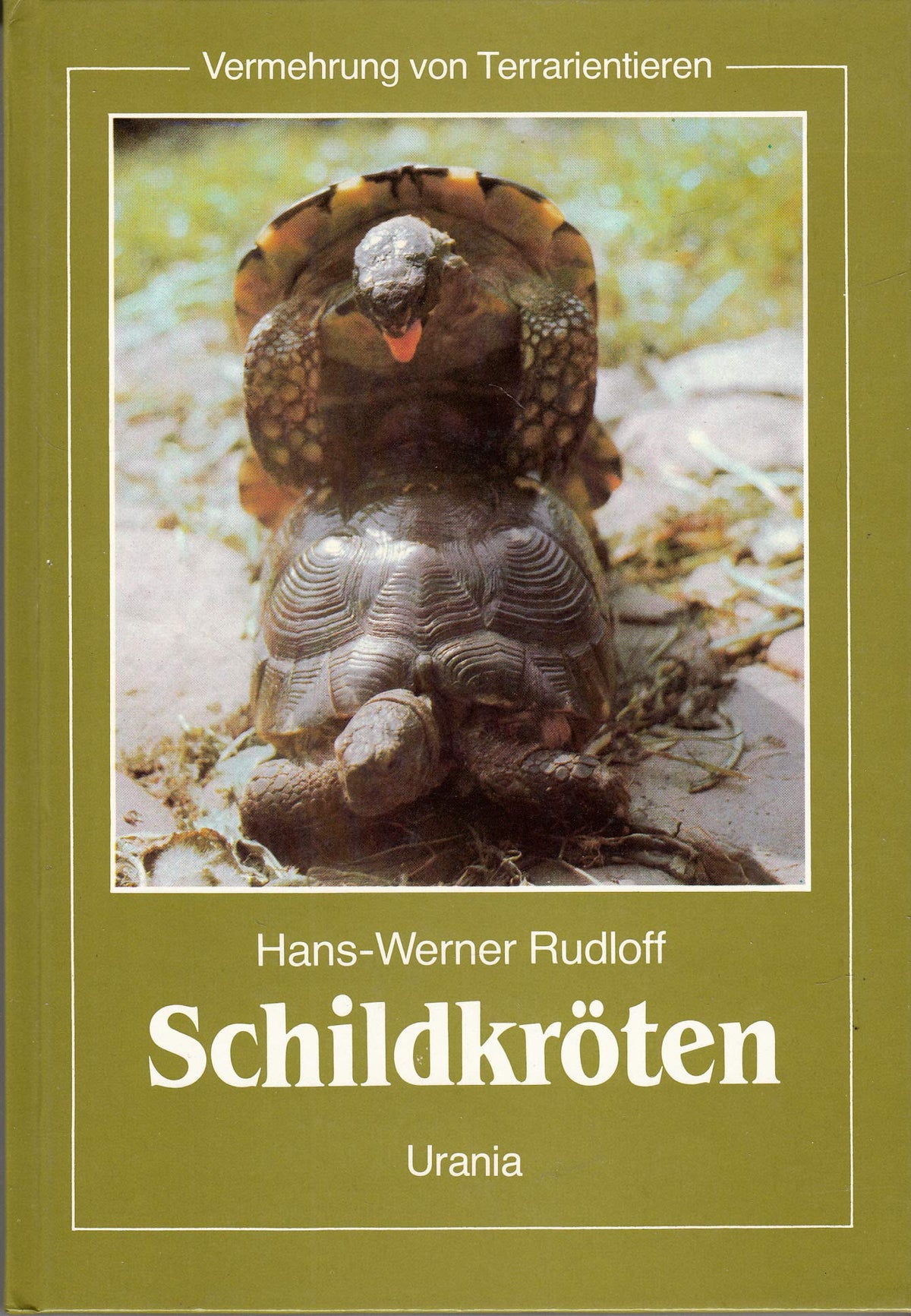Schildkröten