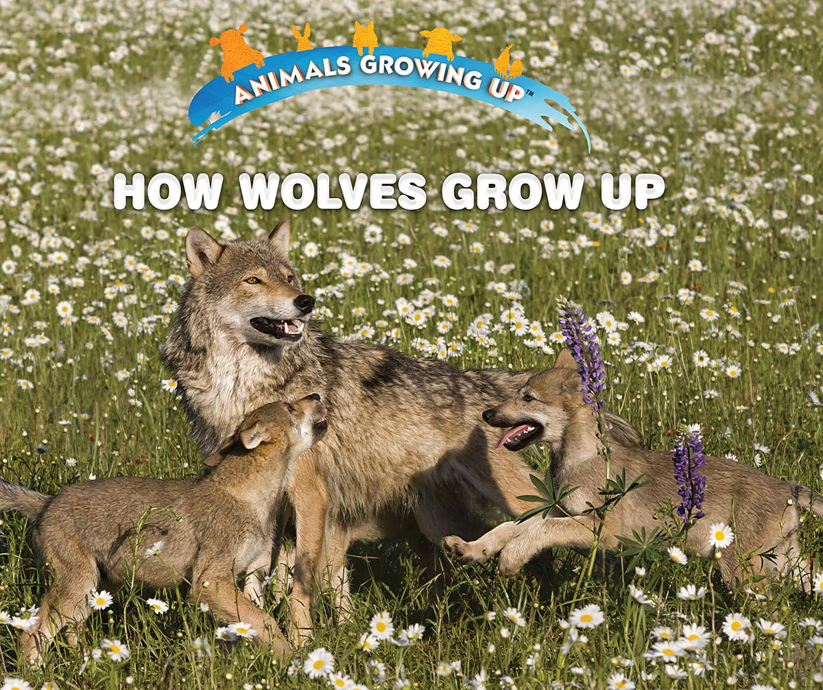 How Wolves Grow Up (Animals Growing Up)