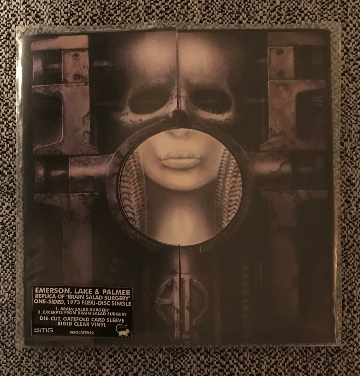 Brain Salad Surgery