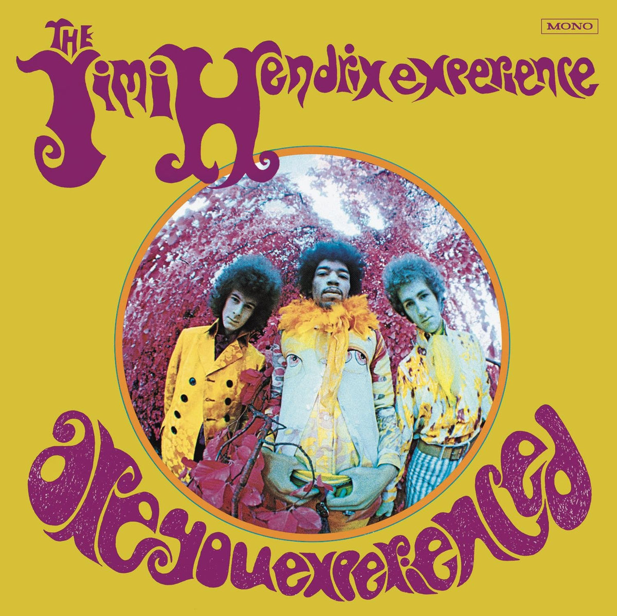Are You Experienced