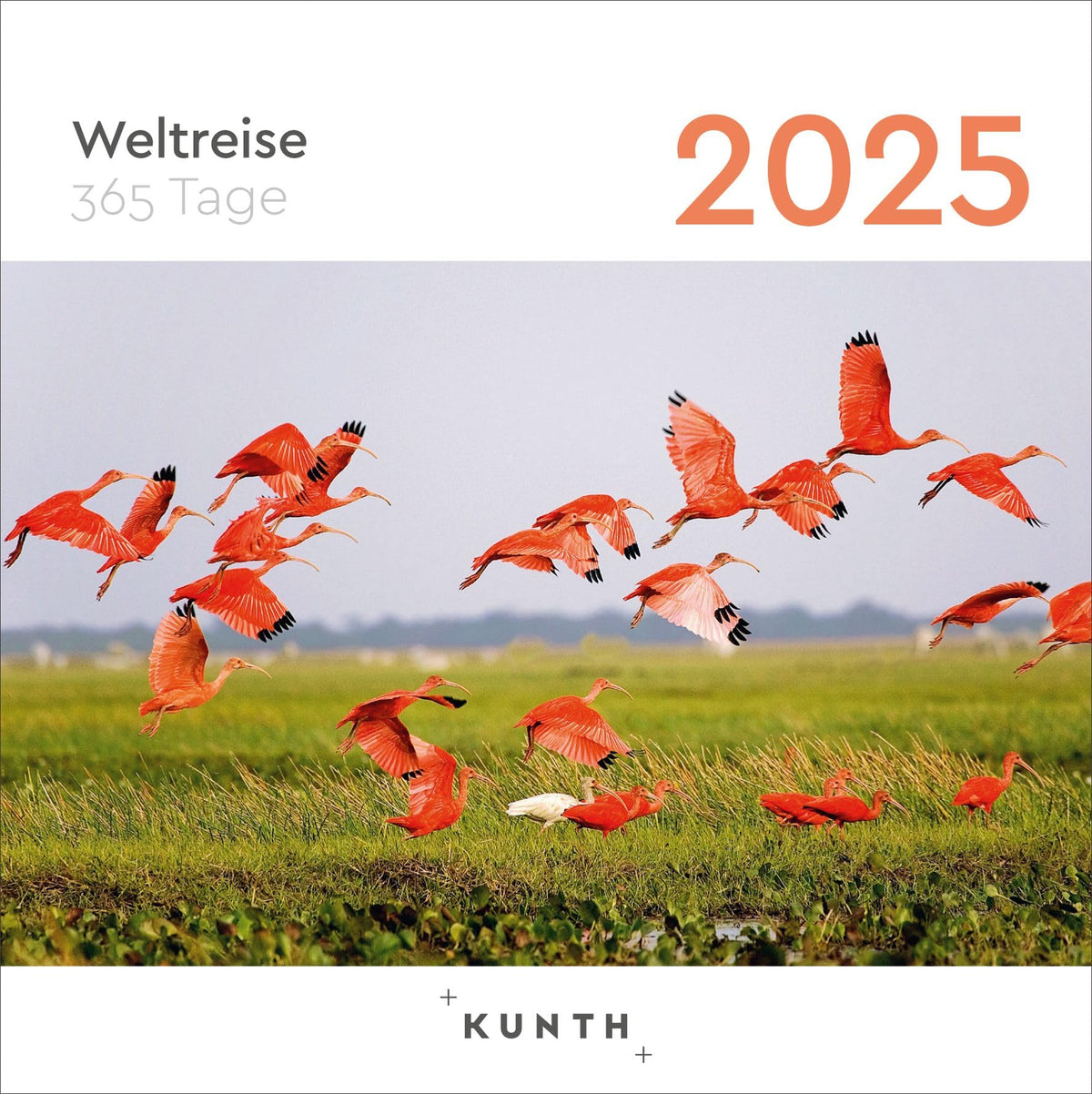 Welttreise - KUNTH 365 Day Tear-Off Calendar 2025: Daily Inspiration in Picture and Text. Calendar for Hanging or Standing. (KUNTH Tear-off Calendar 3