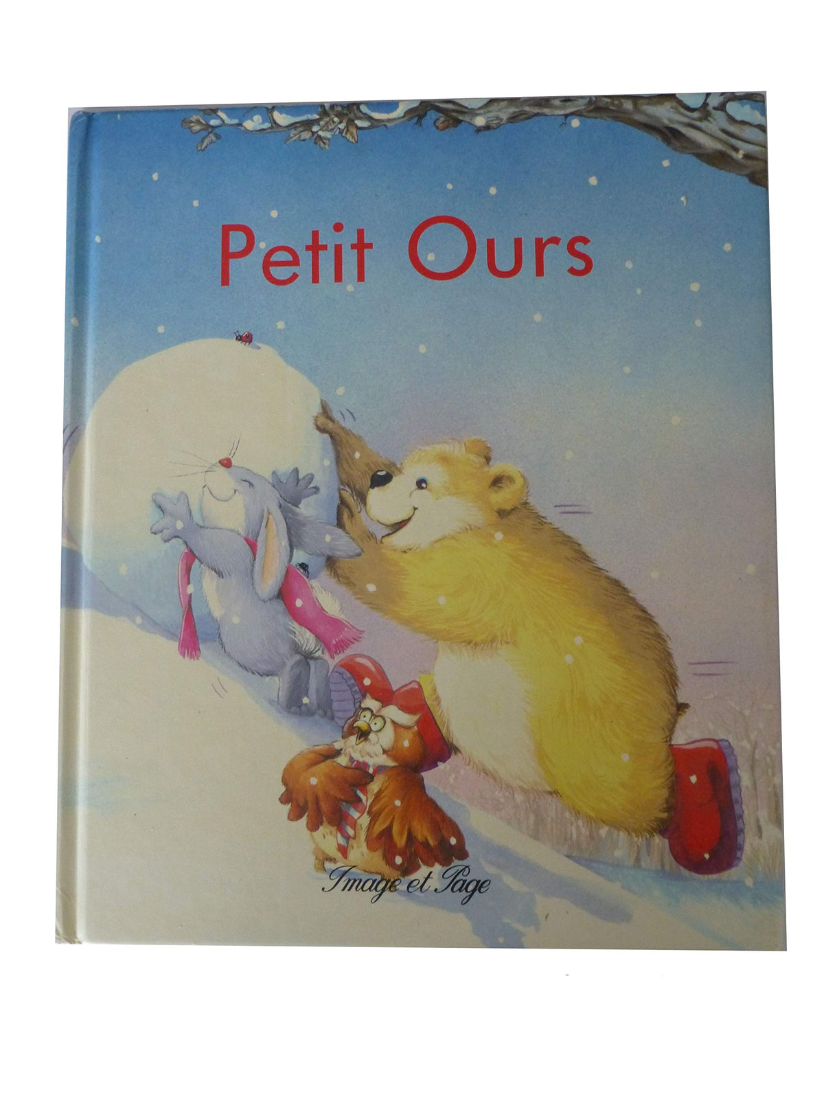 Petit Ours