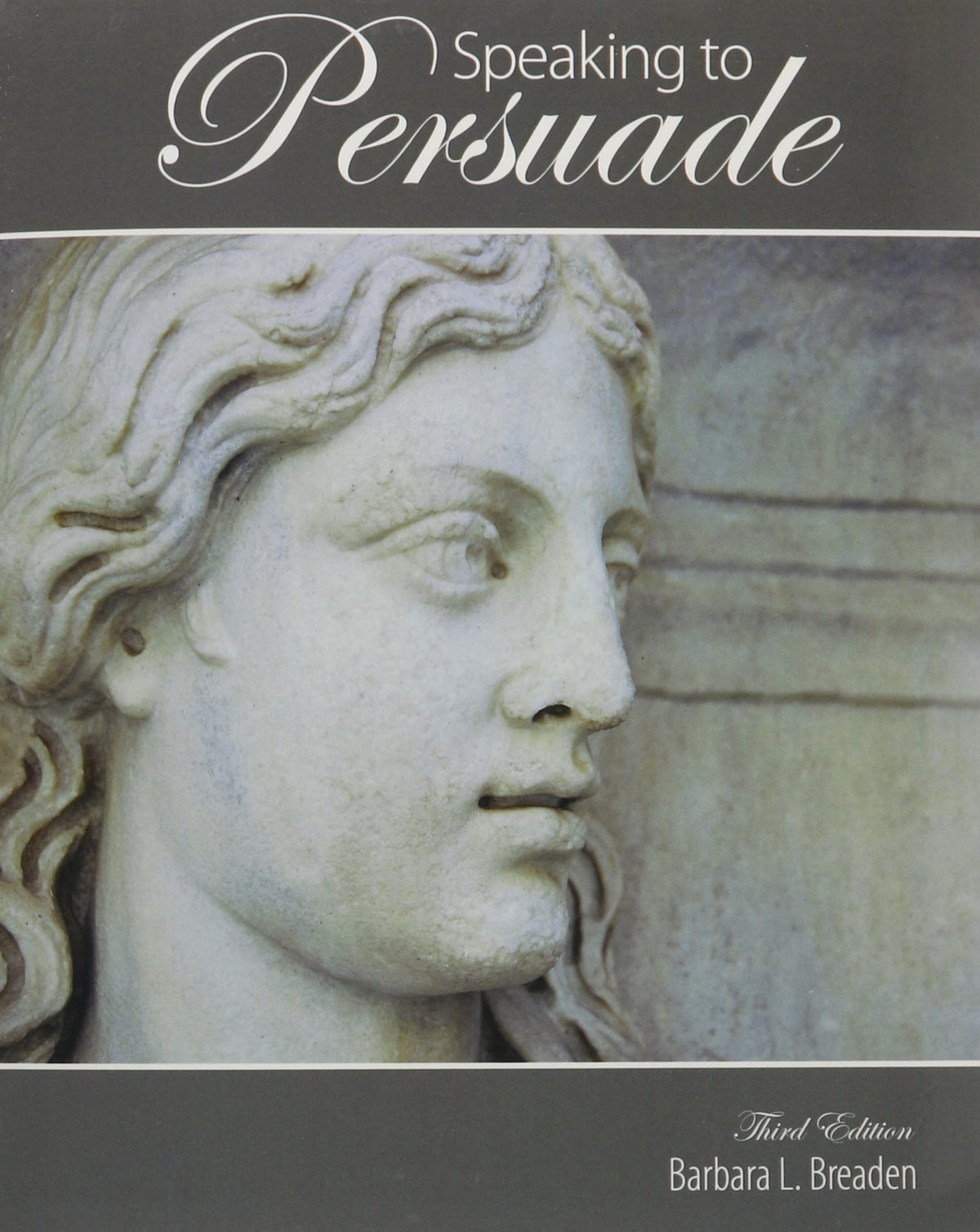 Speaking to Persuade