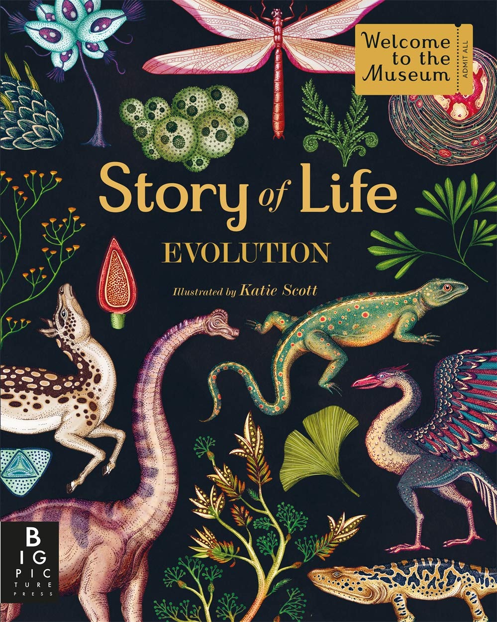 Story of Life: Evolution (Welcome To The Museum)