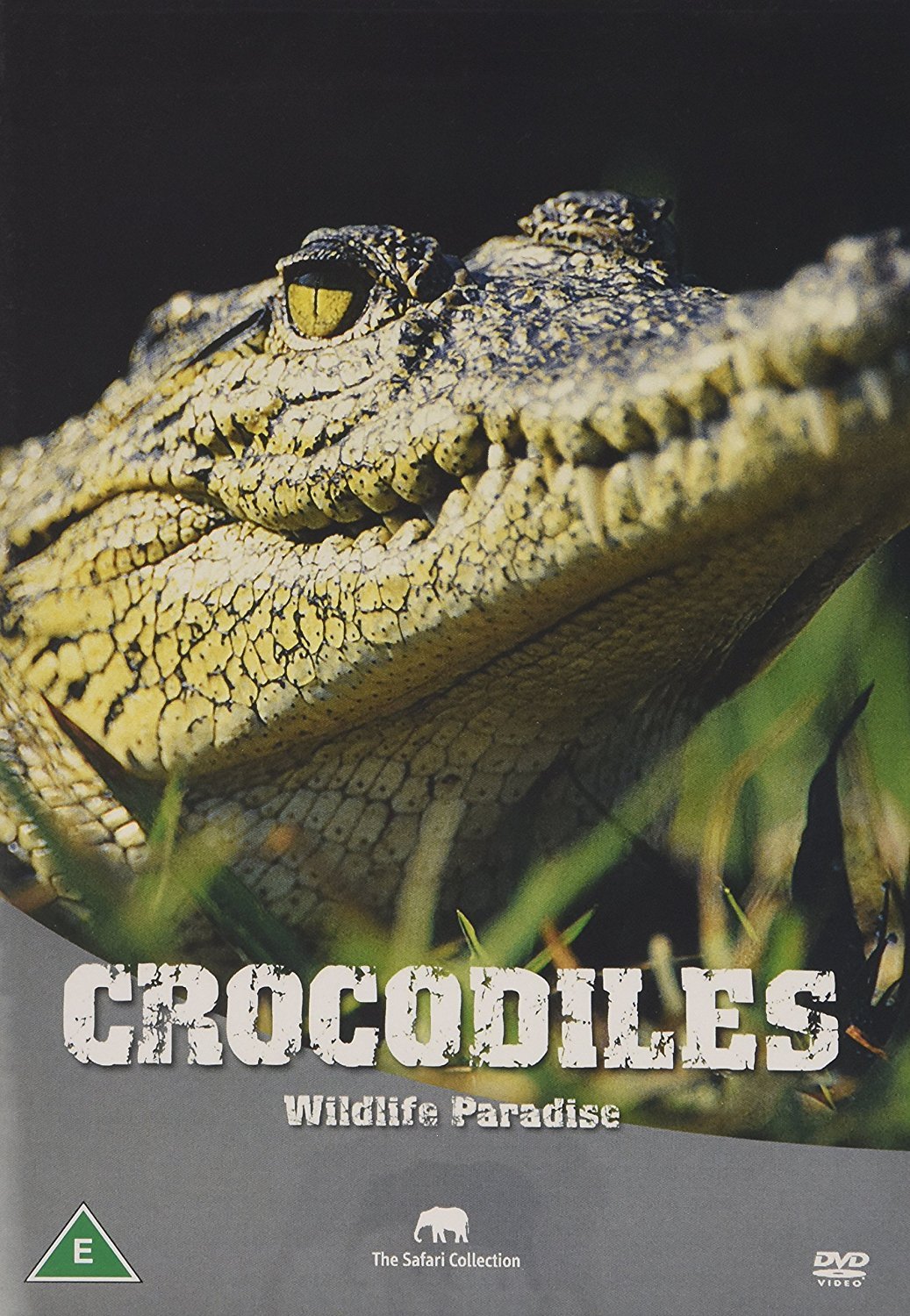 Wildlife Paradise - Crocodiles