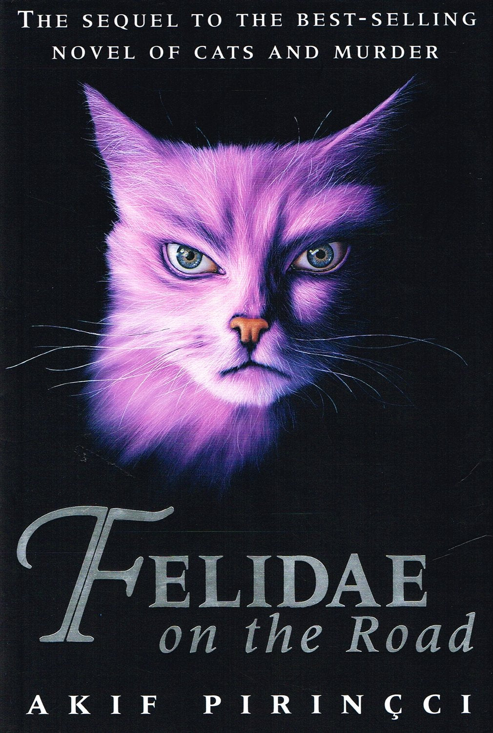 Felidae on the road