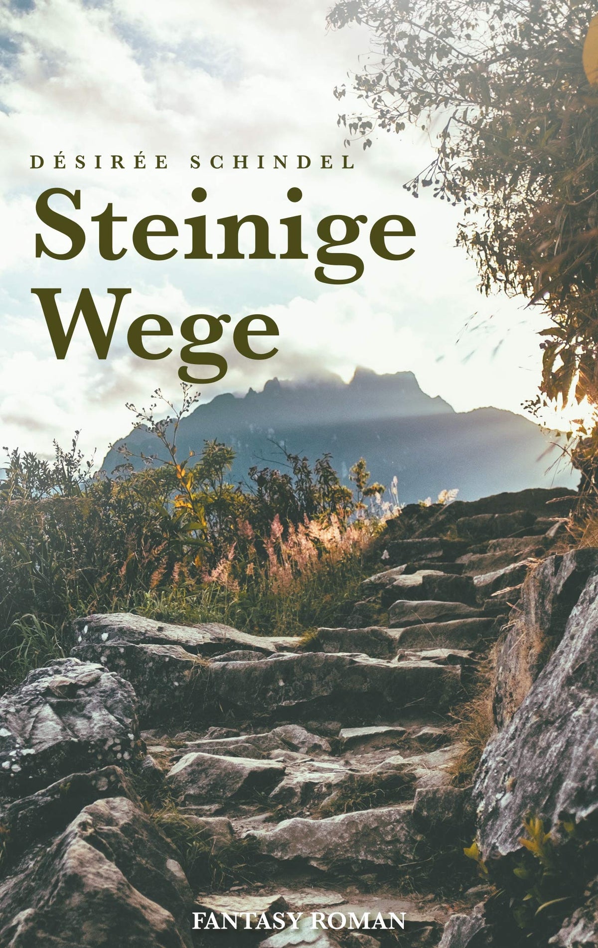 Steinige Wege (German Edition)
