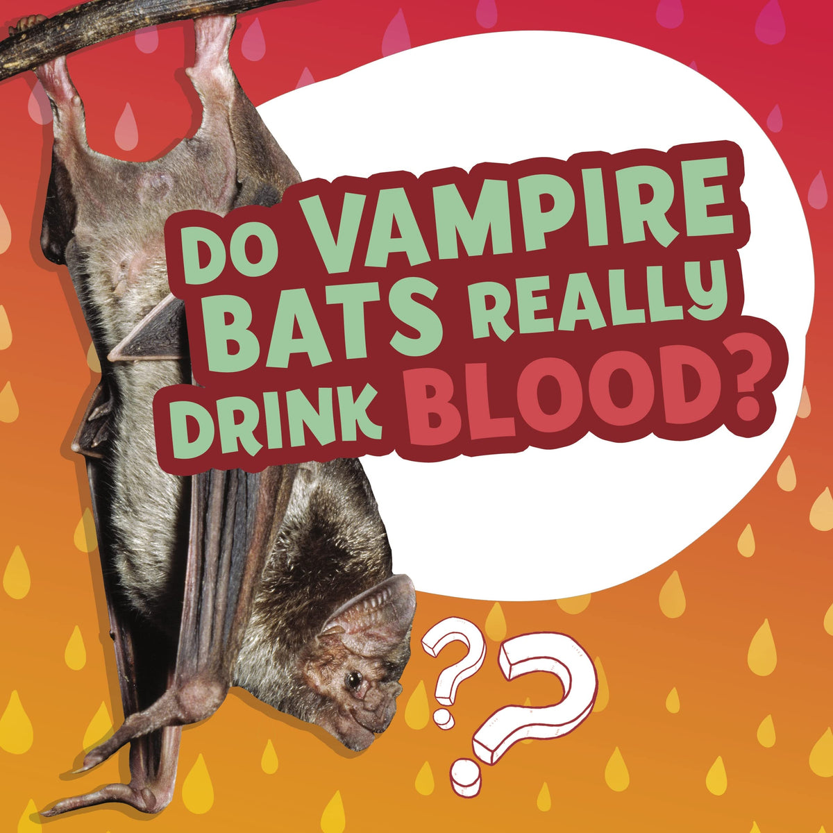Do Vampire Bats Really Drink Blood? (Amazing Animal Q&As)