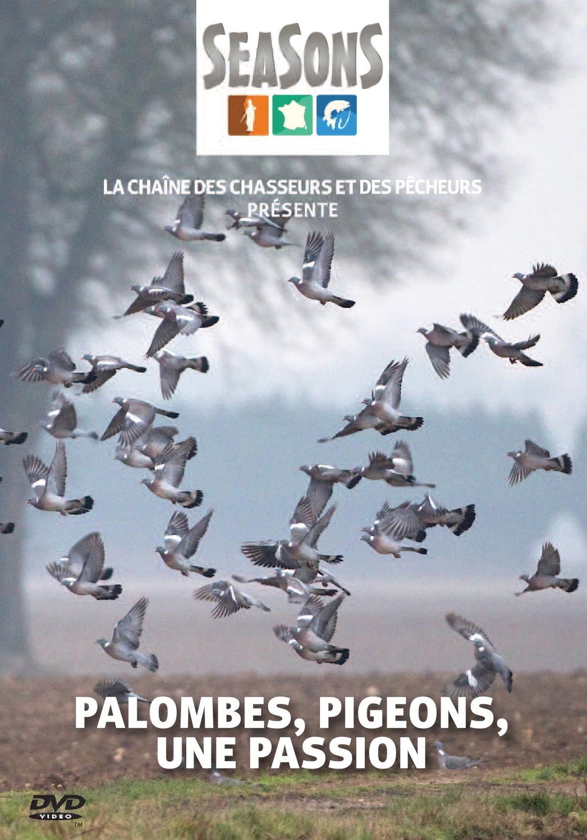 Palombes, pigeons, une passion