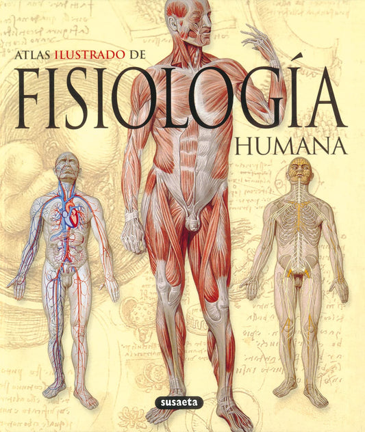 Fisiología humana (Atlas Ilustrado/ Illustrated Atlas) (Spanish Edition)