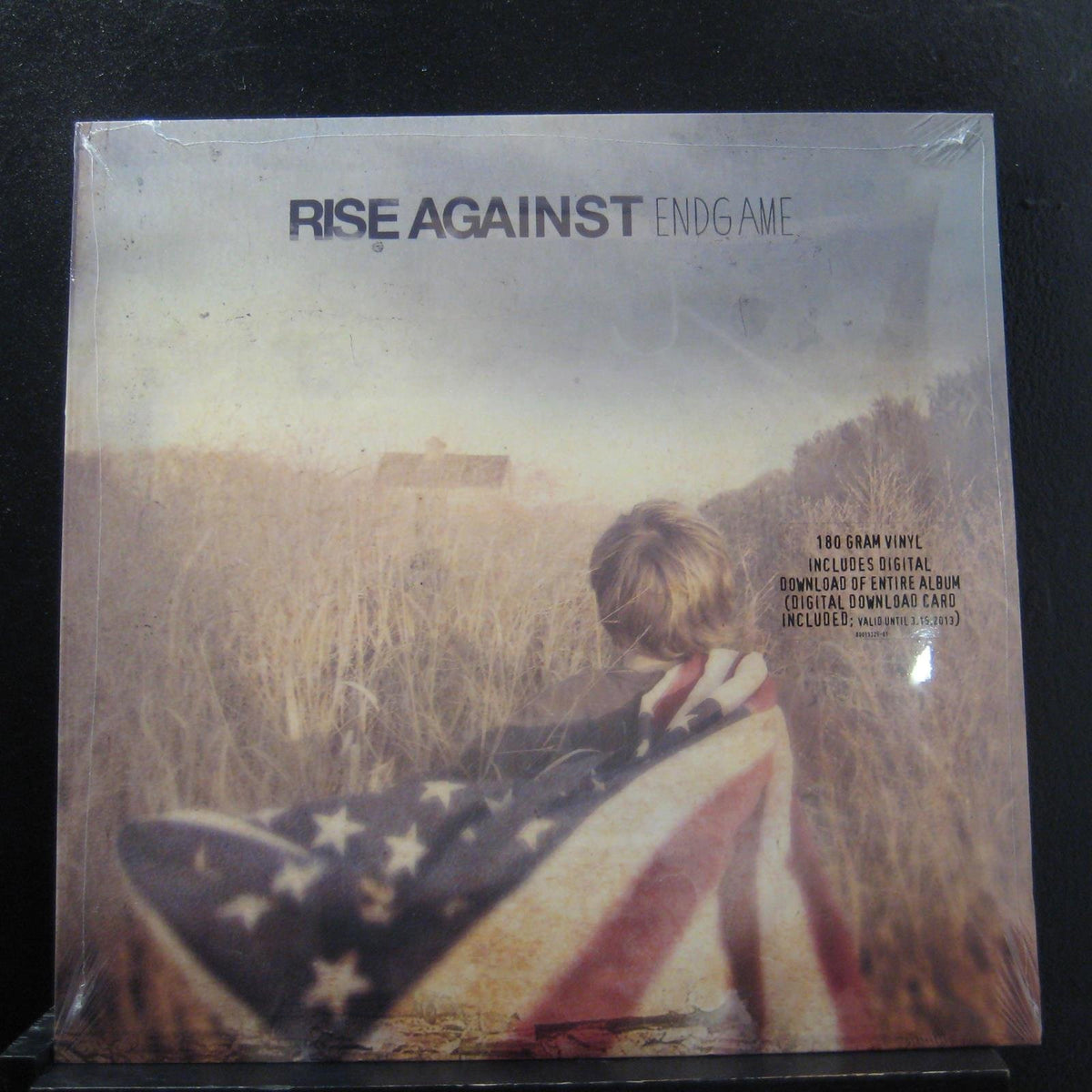 Rise Against - Endgame - Lp Vinyl Record
