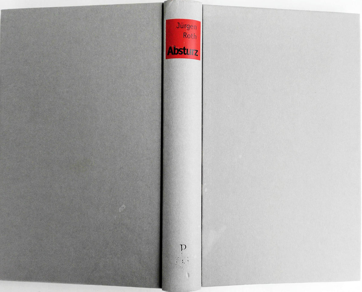 Absturz: Das Ende unseres Wohlstands (German Edition)