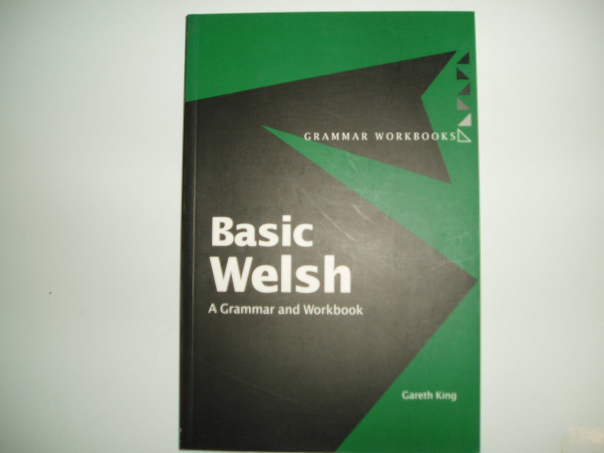 Basic Welsh: A Grammar and Workbook (Grammar Workbooks) (Volume 0)