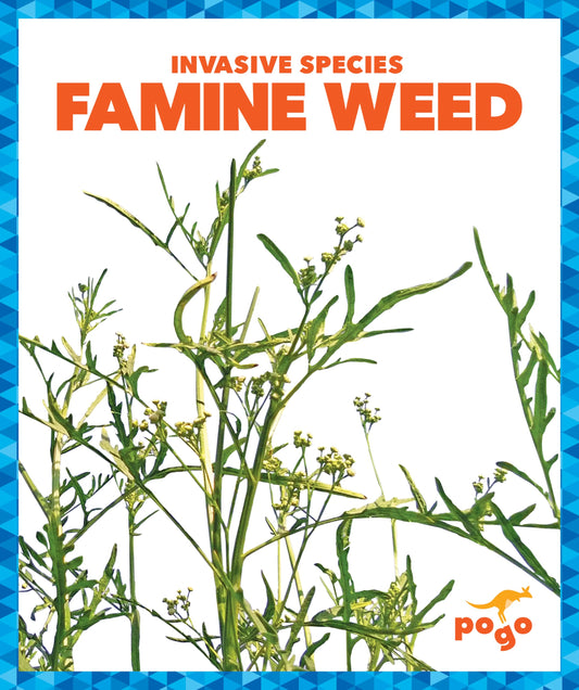 Famine Weed (Invasive Species)