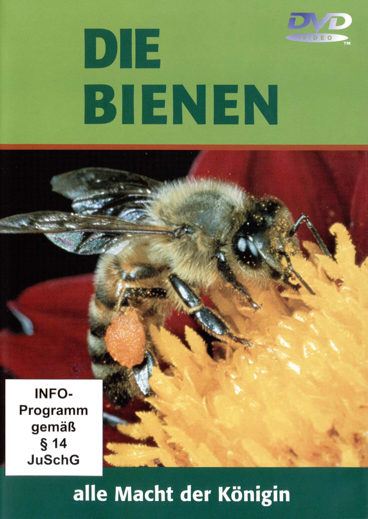 Die Bienen, DVD-Video