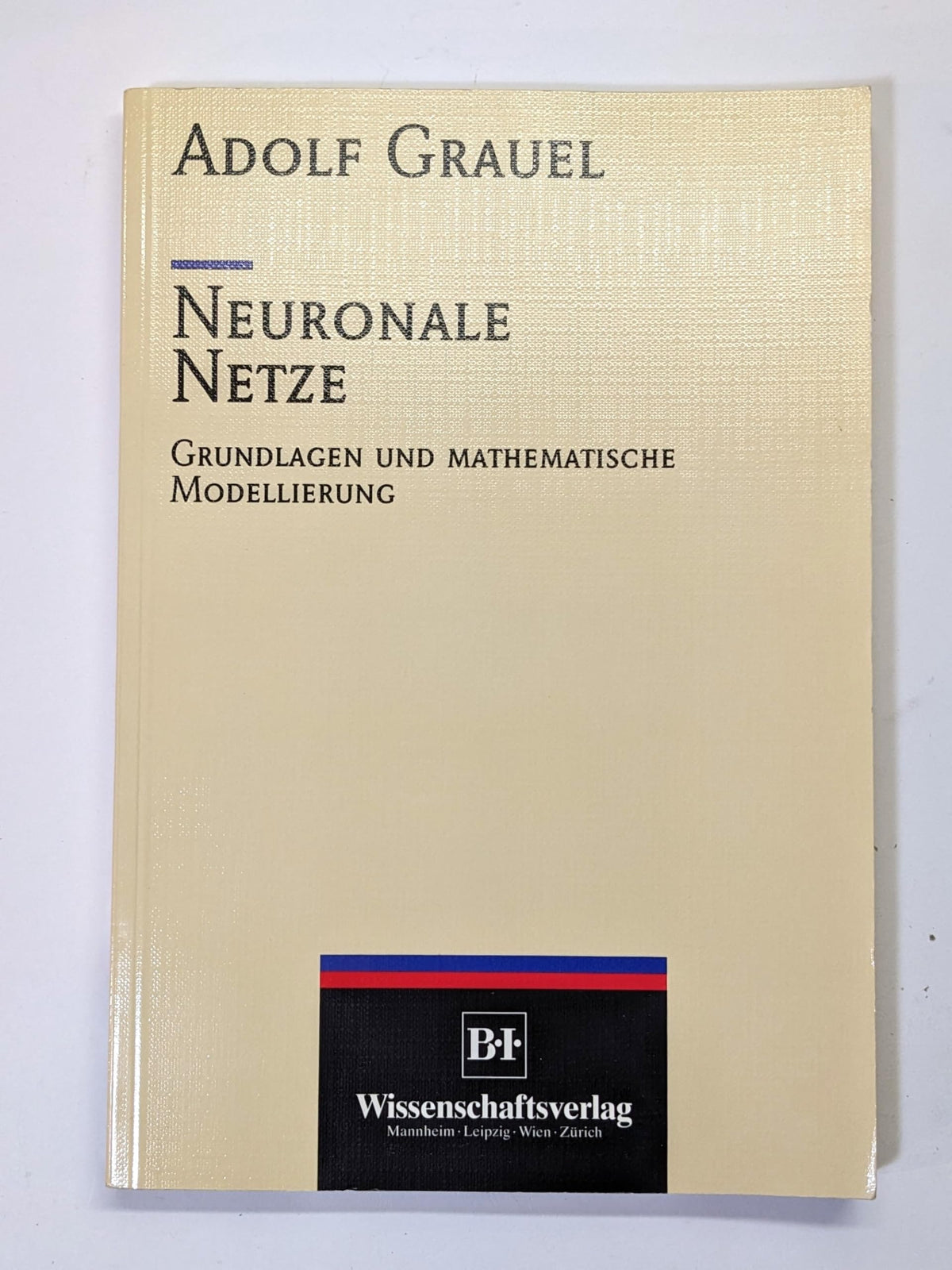 Neuronale Netze. Grundlagen und mathematische Modellierung
