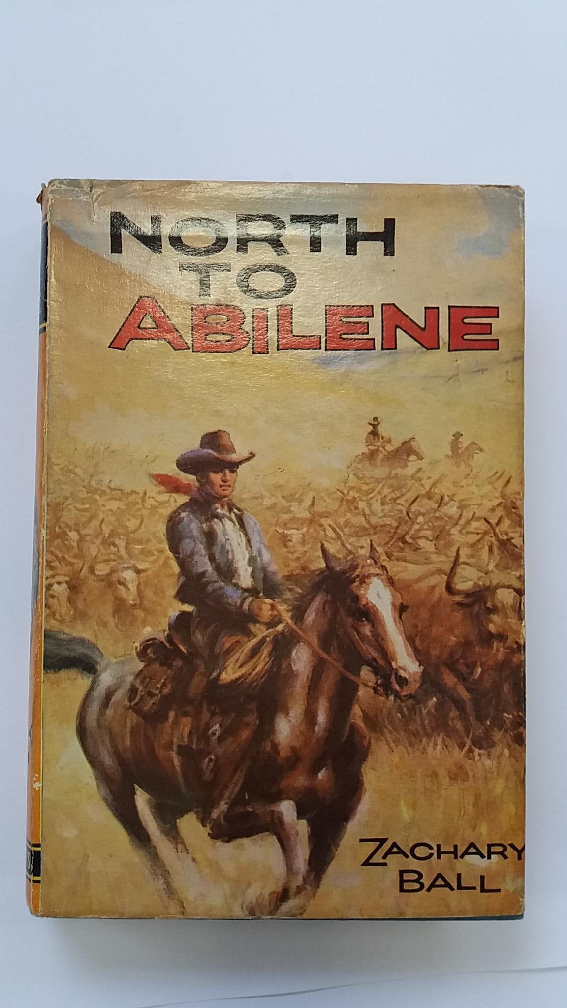 North to Abilene (New Seagull Library)