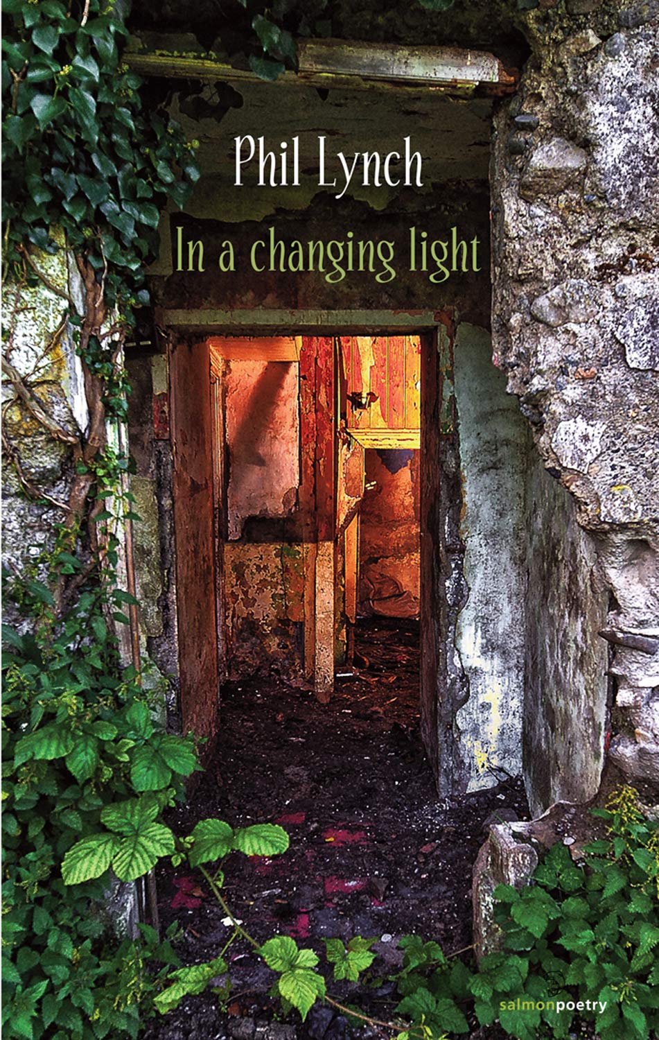 In a Changing Light (Salmon Poetry)