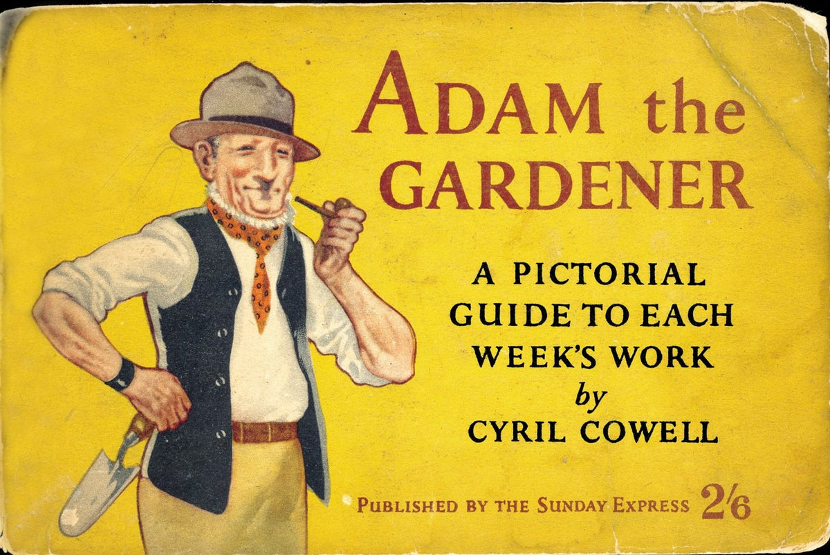 Adam the Gardener: A Pictorial Guide to Each Week's Work