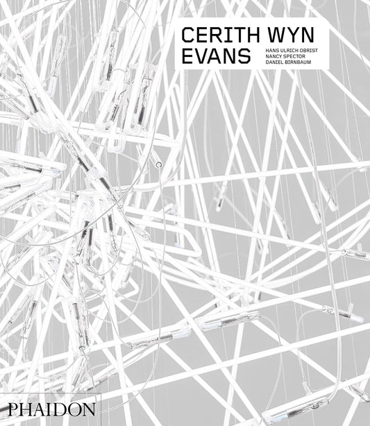 Cerith Wyn Evans (Phaidon Contemporary Artists Series)