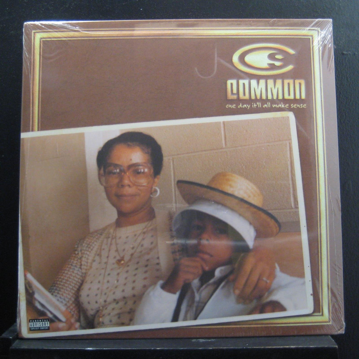 One Day It Will All Make Sense (2 LP's)