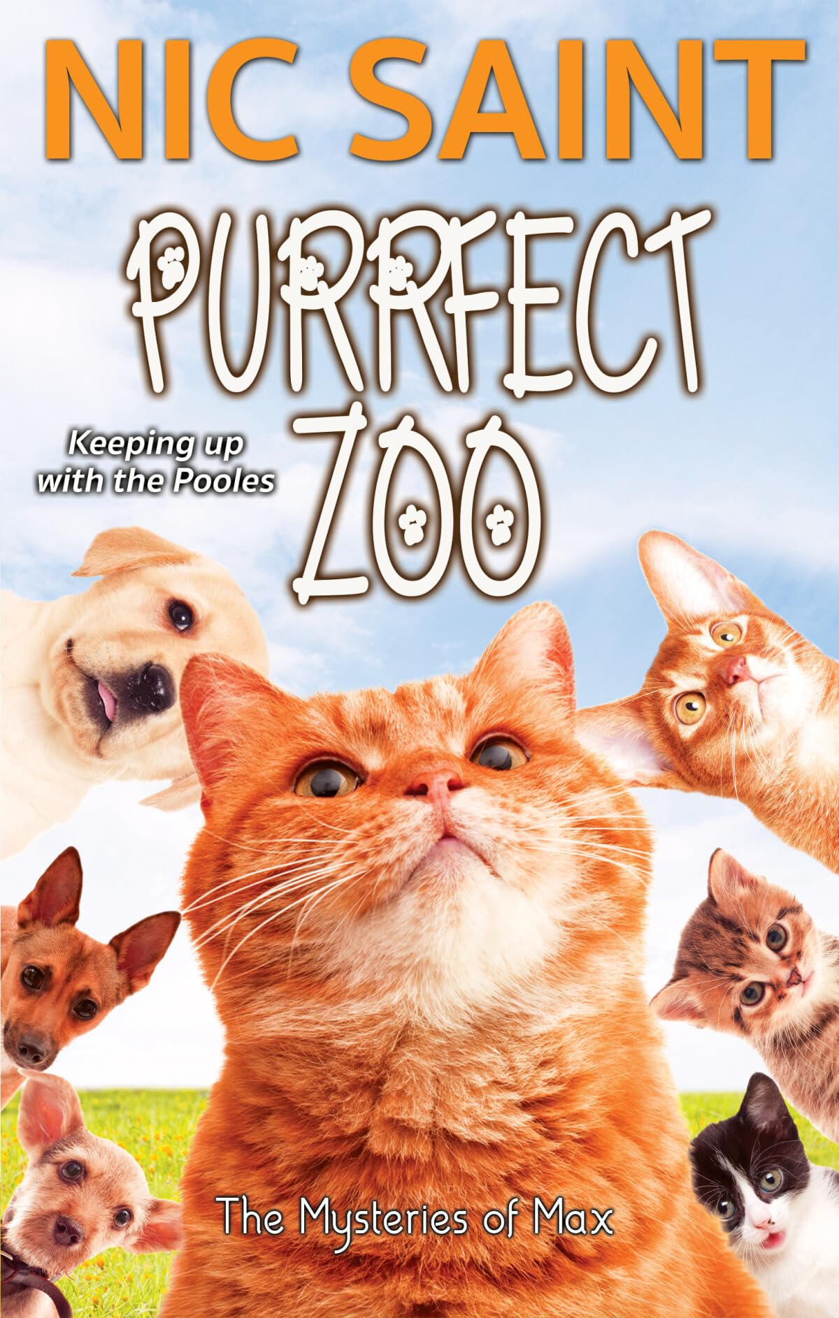 Purrfect Zoo (Mysteries of Max)