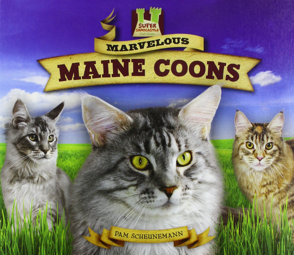 Marvelous Maine Coons (Cat Craze)