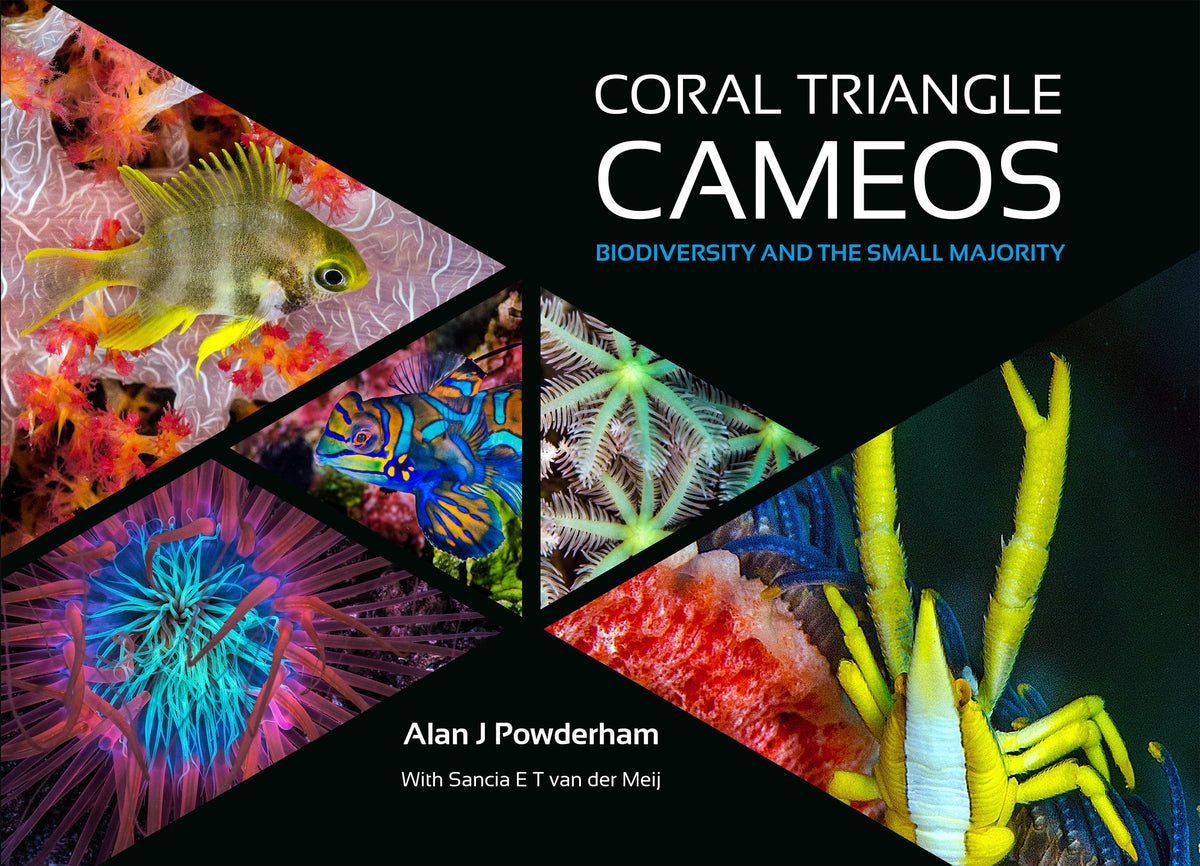 Coral Triangle Cameos - Biodiversity and the small majority