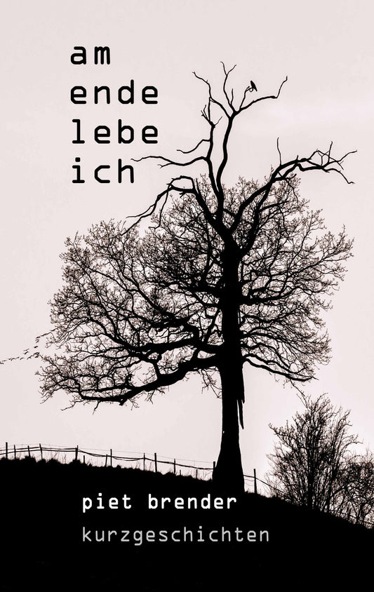 Am Ende lebe ich (German Edition)