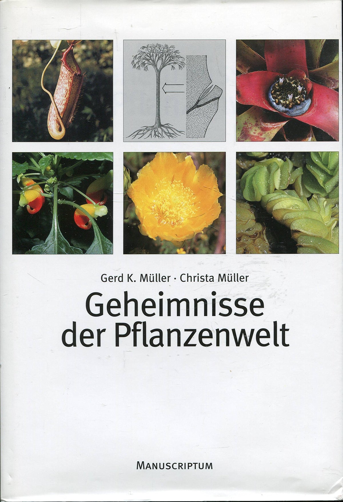 Geheimnisse der Pflanzenwelt.