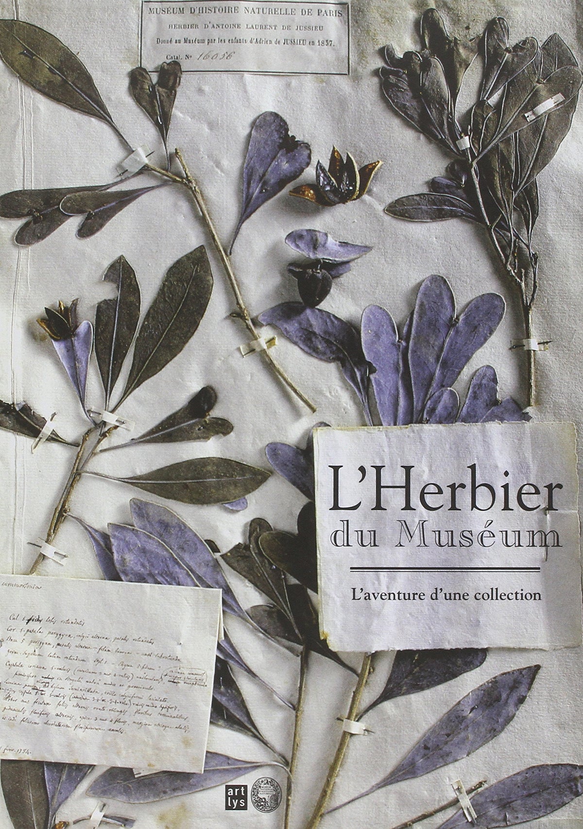l'herbier du muséum