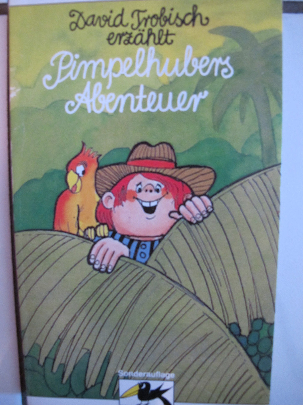Pimpelhubers Abenteuer: In Afrika, Amerika und Deu