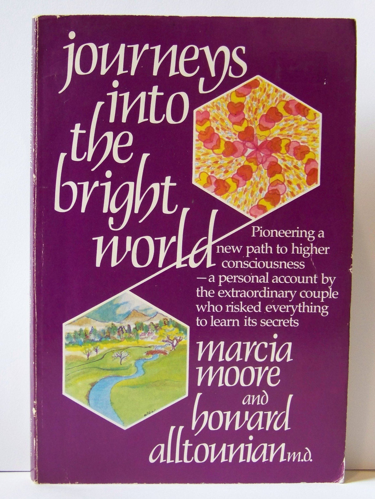 Journeys into the bright world