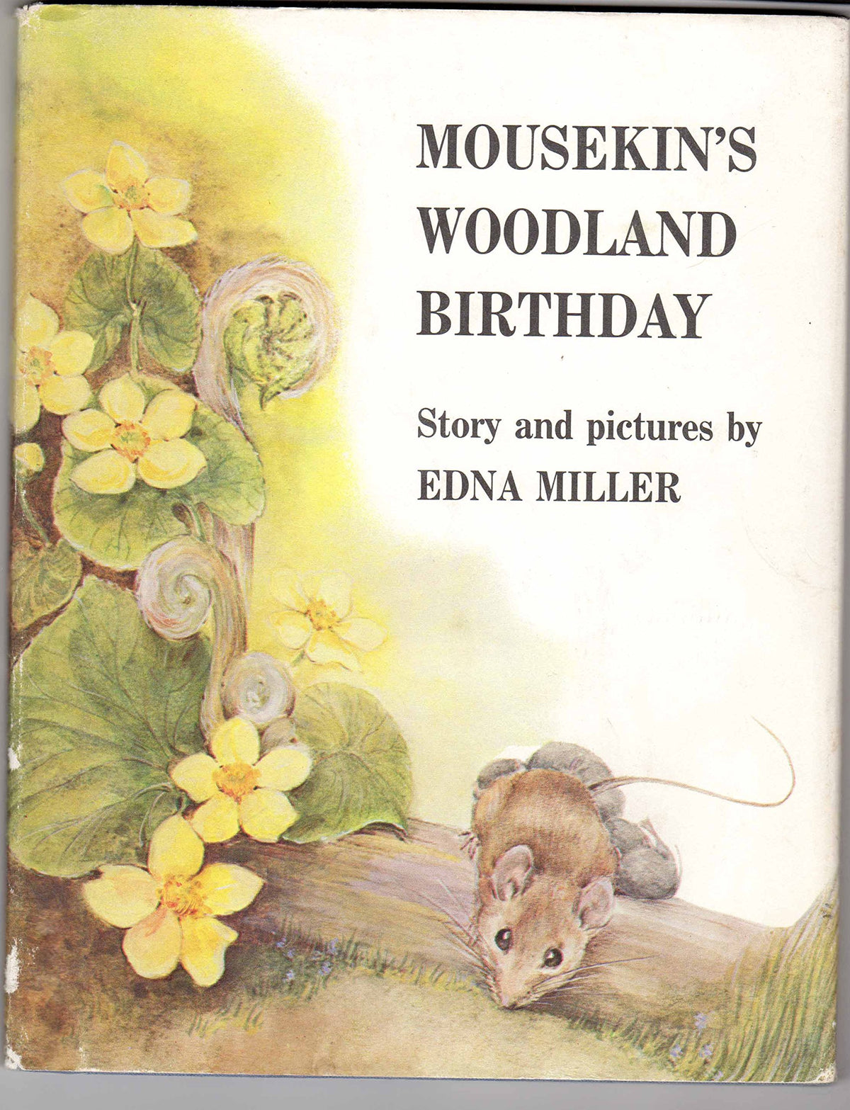 Mousekin's Woodland Birthday