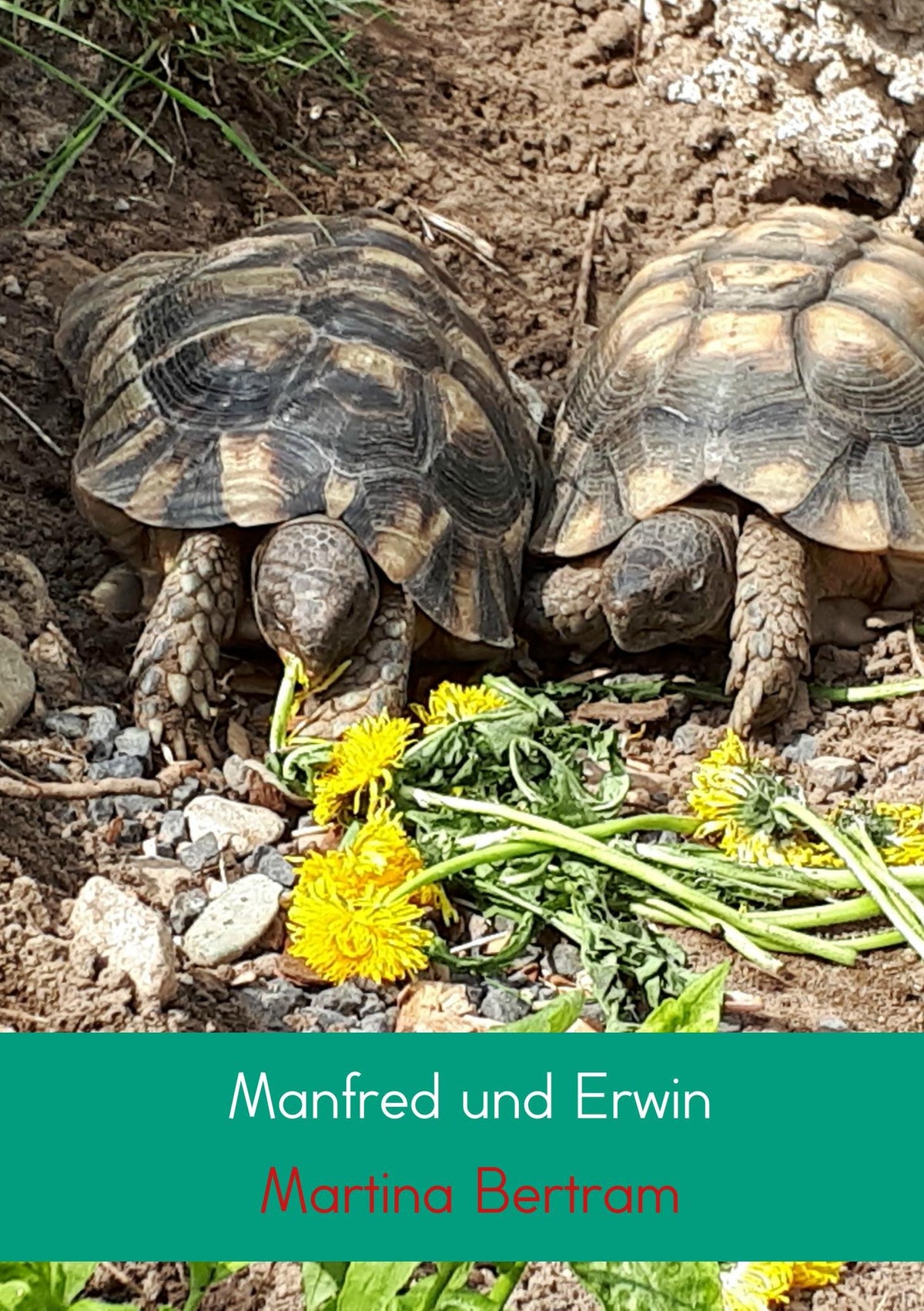 Manfred und Erwin