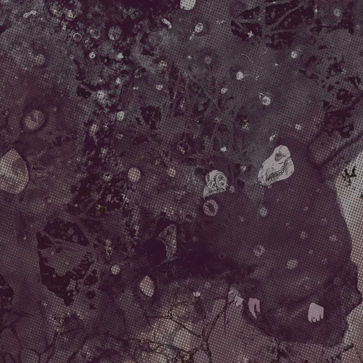 Razed to the Ground (LP)
