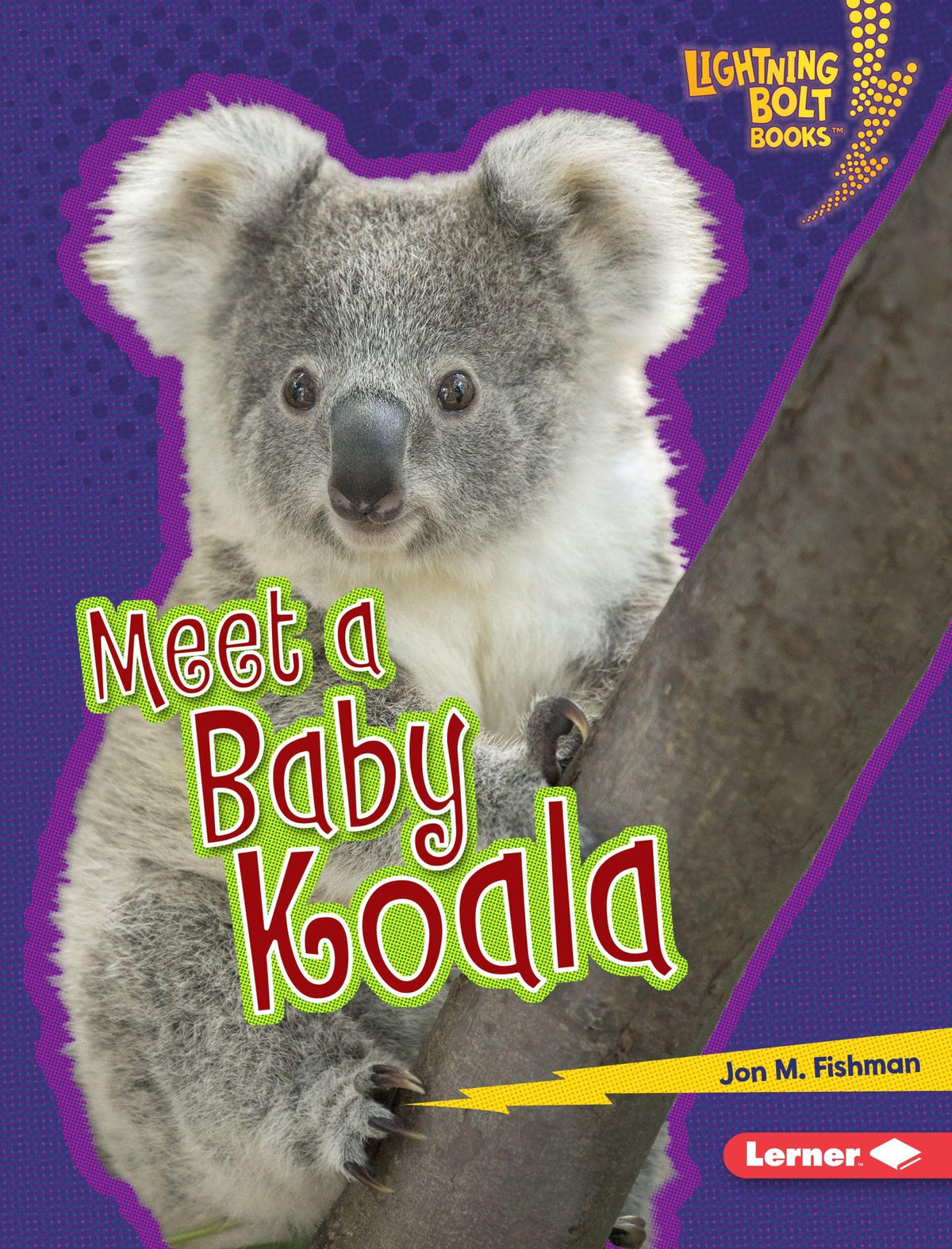 Meet a Baby Koala (Lightning Bolt Books ® ― Baby Australian Animals)