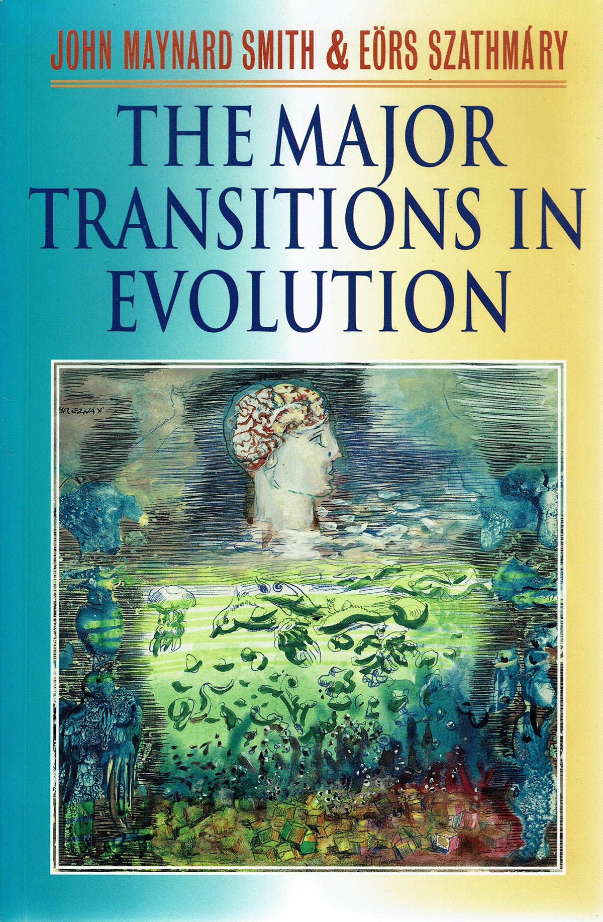 The Major Transitions in Evolution.