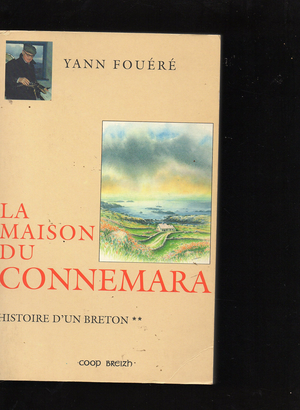 Histoire d'un Breton. 2, La maison du Connemara