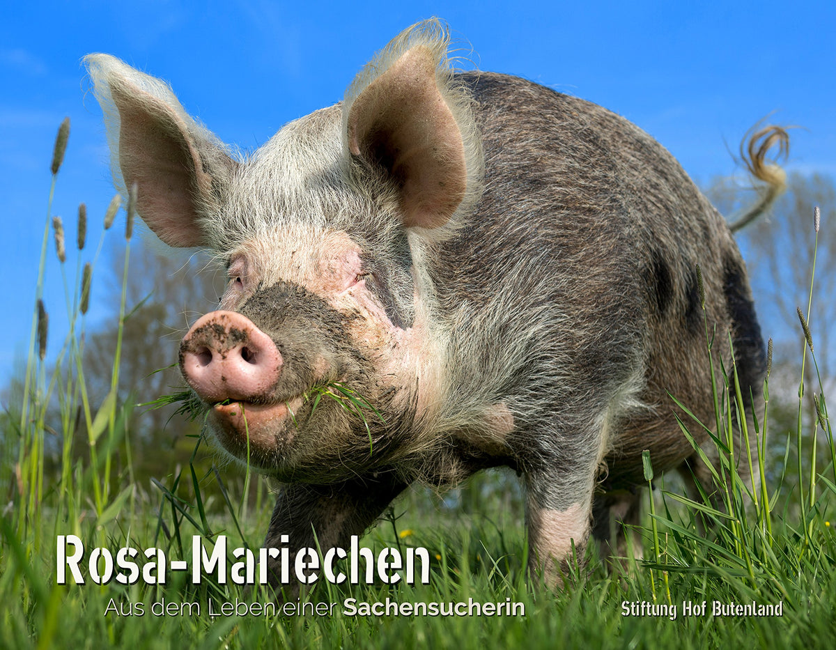 Multikuhlti und vegan: Geschichten und Rezepte (Ge