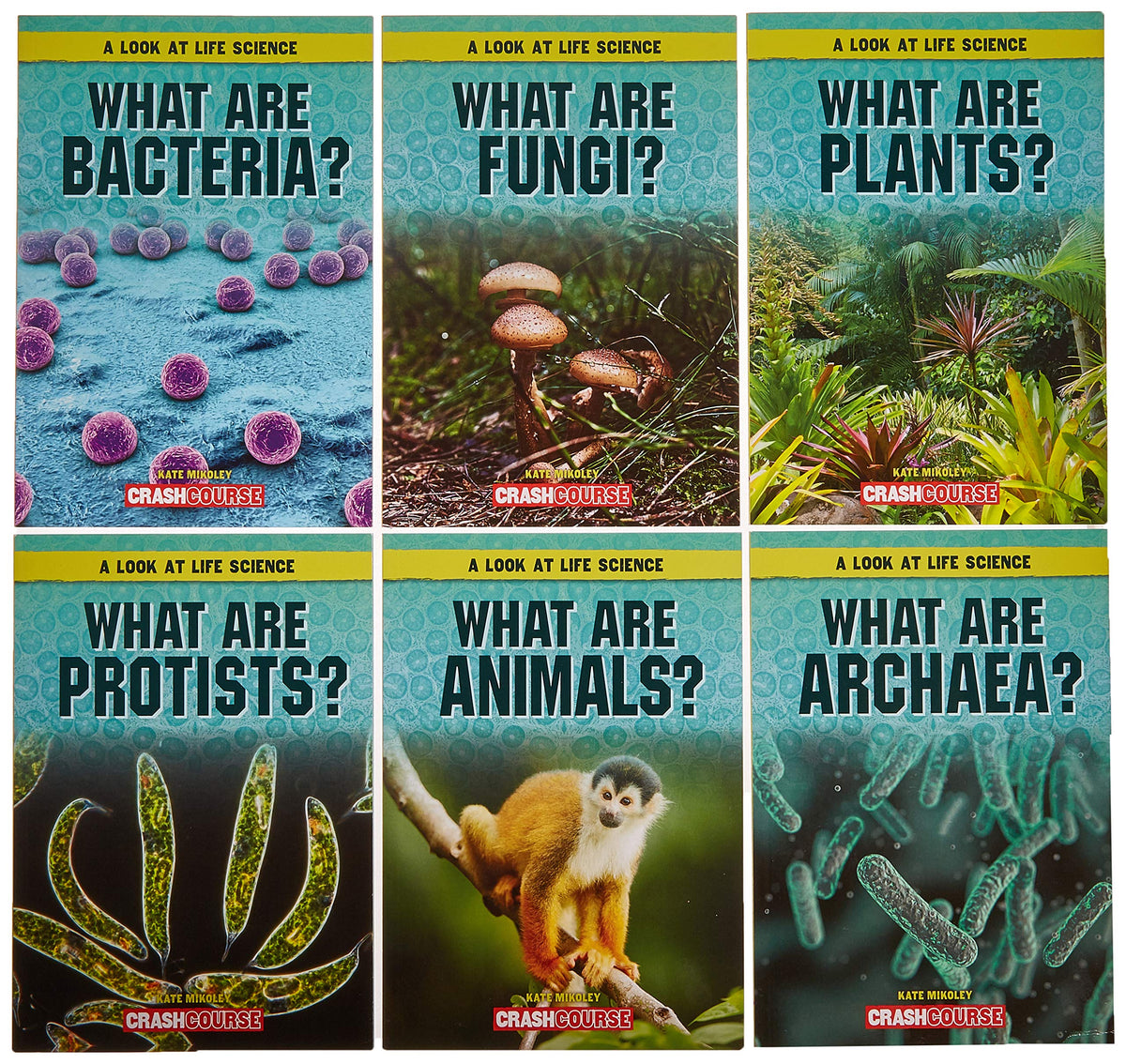 A Look at Life Science