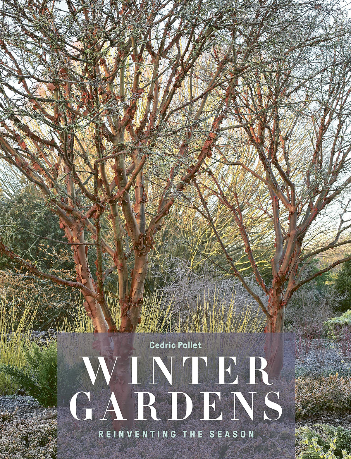 Winter Gardens: Reinventing the Season
