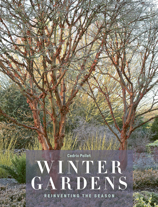 Winter Gardens: Reinventing the Season