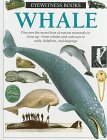 Whale