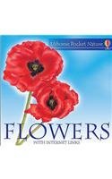 Flowers (Usborne Pocket Nature)