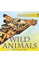 Wild Animals (Usborne Pocket Nature)