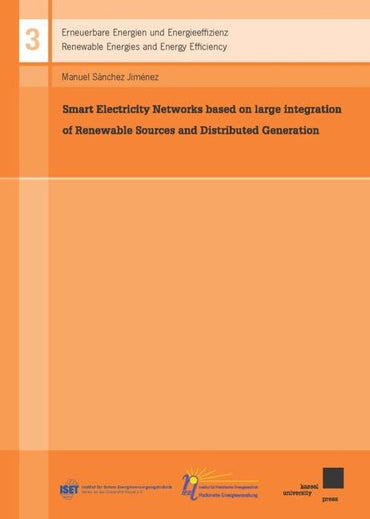 Smart Electricity Networks based on large integration of Renewable Sources and Distributed Generation