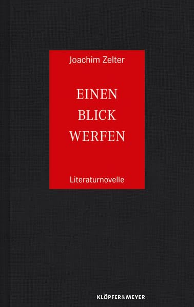 Einen Blick werfen: Literaturnovelle