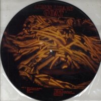 Goat(rare limited edition Picture Disc) LP vinyl